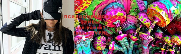 прущие крисы Аркадак